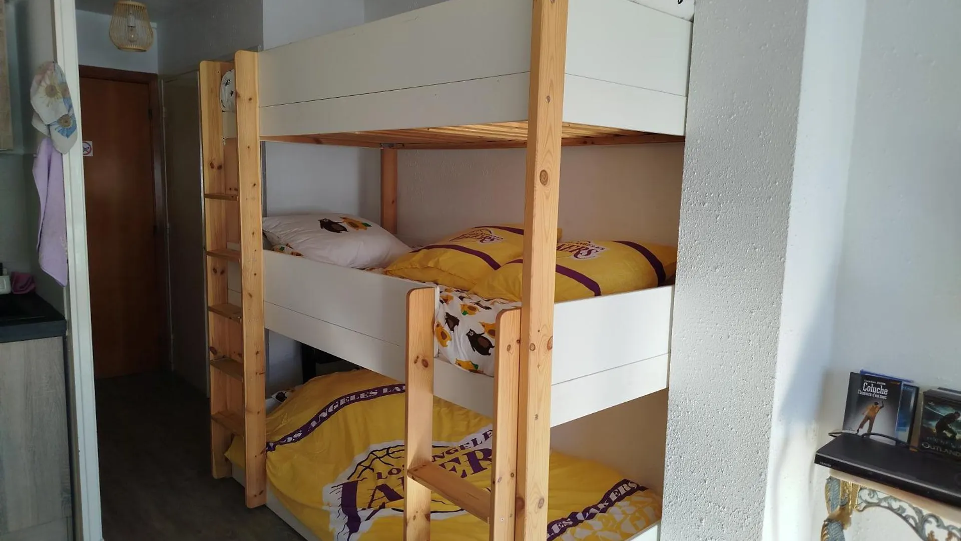 Apartment Appartement Face Aux Pistes Greolieres les Neiges
